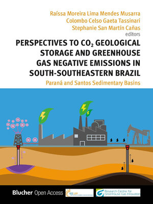 cover image of Perspectives to CO2 Geological Storage and Greenhouse Gas Negative Emissions in South-Southeastern Brazil